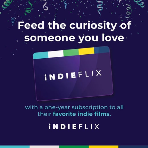 126869493_3759002927445592_5280189392154760189_o