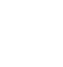 AOH Lion and text