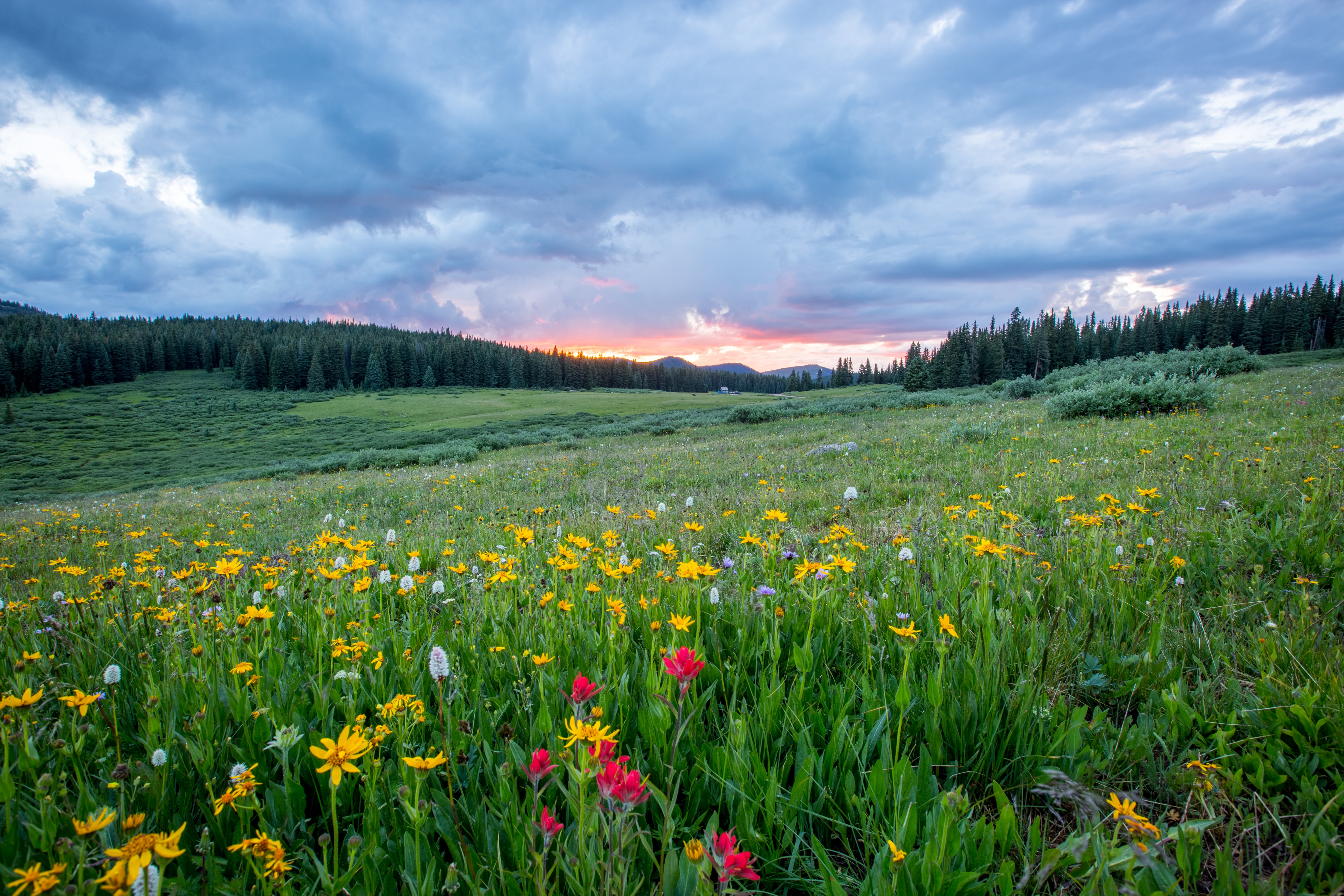 10 Ways to Boost Your Mental Health This Summer